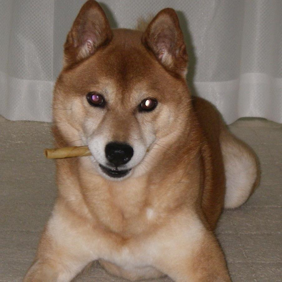 KomiKomikomi999's profile picture. 見た目はオジサン中身は子供                  秋葉原とフィリピンに出没・生息中。    ここでは、ヲタク。舞台観劇、写真撮影、地下ドル鑑賞他、多趣味人。