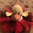 Lisa Cauthen - @CauthenLisa - Twitter