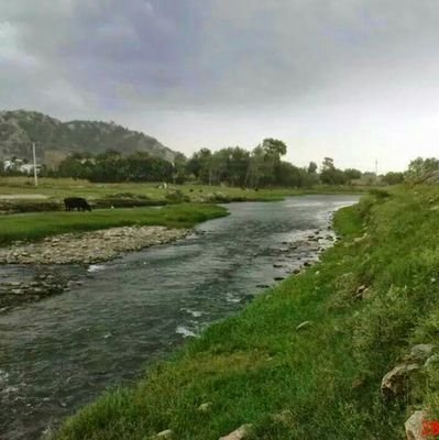 galaxynote3kkj's profile picture. 