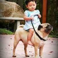 asteios3's profile picture. 