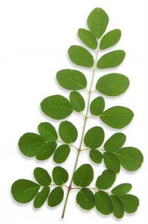 Multivitamina y Antioxidantes