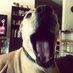 Seth Whitesel (@texboiler08) Twitter profile photo