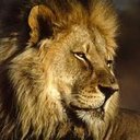 Catherine Just - @ghslions2016 - Twitter