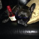 Travis Knotts - @tknotts23 - Twitter