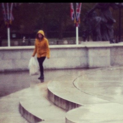 shalifoh's profile picture. i'm straight for steve rogers