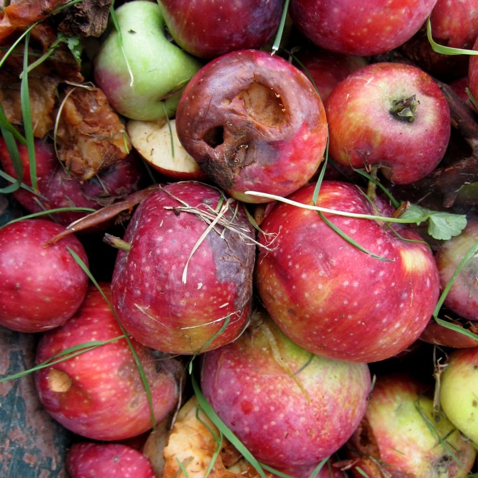 We love cider so much we want to marry it. We also mess around with sours, on the sly. And when we feel especially bawdy, we flirt with fruit spirits.