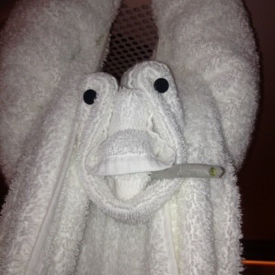 Jenniboom430's profile picture. 