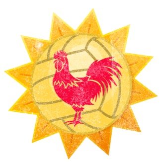 Monthly Rev-co 4 tournys will be held the last Saturday of every month at the Niagara Sports and Social volleyball gym in Welland. Stay awake & play all night!