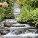 bill hoffmann - @longtimefan42 - Twitter