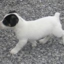 David Greenaway - @revdhgg - Twitter