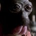 Ponda Baba (@pondaba) Twitter profile photo Ponda Baba (@pondaba) Twitter profile photo