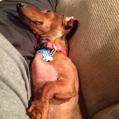 j_rick_pruitt's profile picture. 