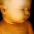 bbbreath1's profile picture. 3D 4D Baby Breath Ultrasound Studio - Portland