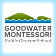 Public Montessori Charter School
Georgetown, TX

~ Fostering a life-long love of learning & active participation in communities & the world ~