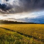 Posting interesting things about Central Alberta: travel, things to do, events or just info join in the conversation