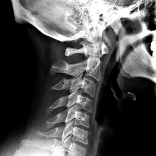 clutterskull's profile picture. 