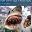 Gary Richards - @francoflo99 - Twitter