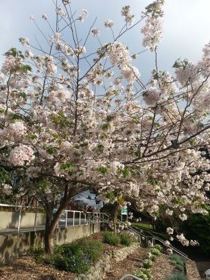 sorabella22's profile picture. new to twitter.. dont know how long this will last!