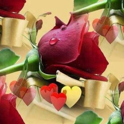 ‏الحمدلله~ والقلب ينفطر شوقا إليك~ قناة بداية ♡