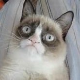 pamela93329503's profile picture. 