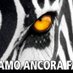 frank jump (@francogiampe) Twitter profile photo