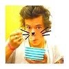 harry please follow @rodii17