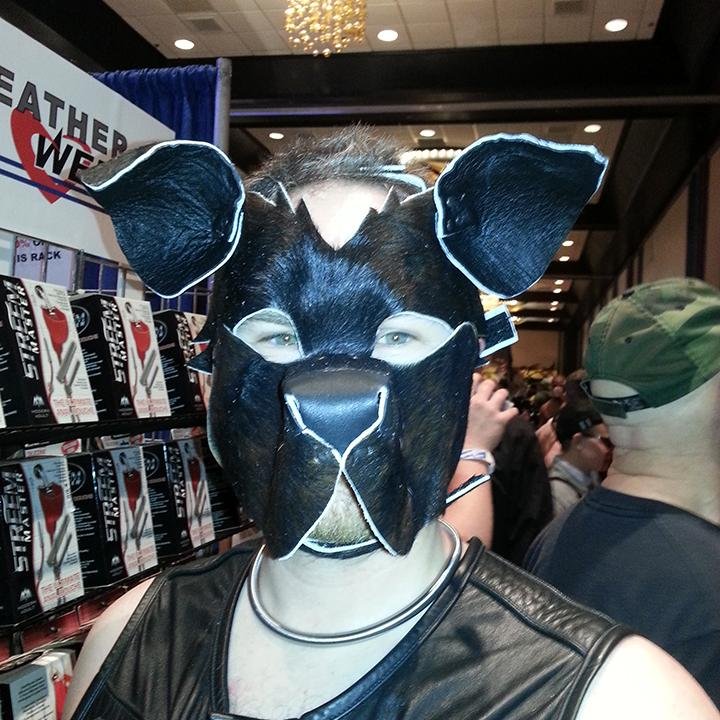 45yo
pup looking for friends and housemate