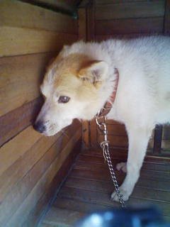 SugisakiKou0112's profile picture. ゆるゆると好きなものを集めてます