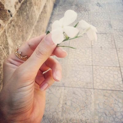 ‏في سماء حوريات و في الارض سوريات