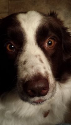 pegulaorphan's profile picture. 