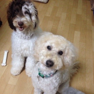 45のおじさん。モンスト、雀魂、麻雀一番街、モンハンNOWが好き。
