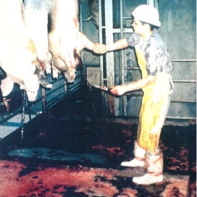 hermosillo2025's profile picture. 