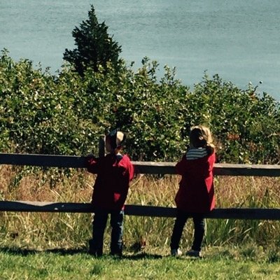 frascas81's profile picture. 