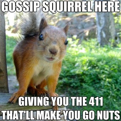 ucm_gsquirrel's profile picture. Who am I? That's one nut you'll never crack. You know you love me. XOXO, Gossip Squirrel. UCM submit spottings at: http://t.co/IS4Cux3Xxe