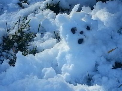 Tataruyg's profile picture. 