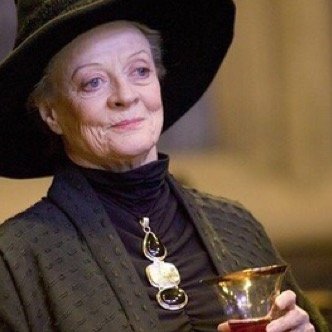 Maullando por la vida. Mi Piertotum Locomotor está de moda. Castigando Weasleys desde que me conozco. Gryffindor Pride. ¡Ah, también soy directora!