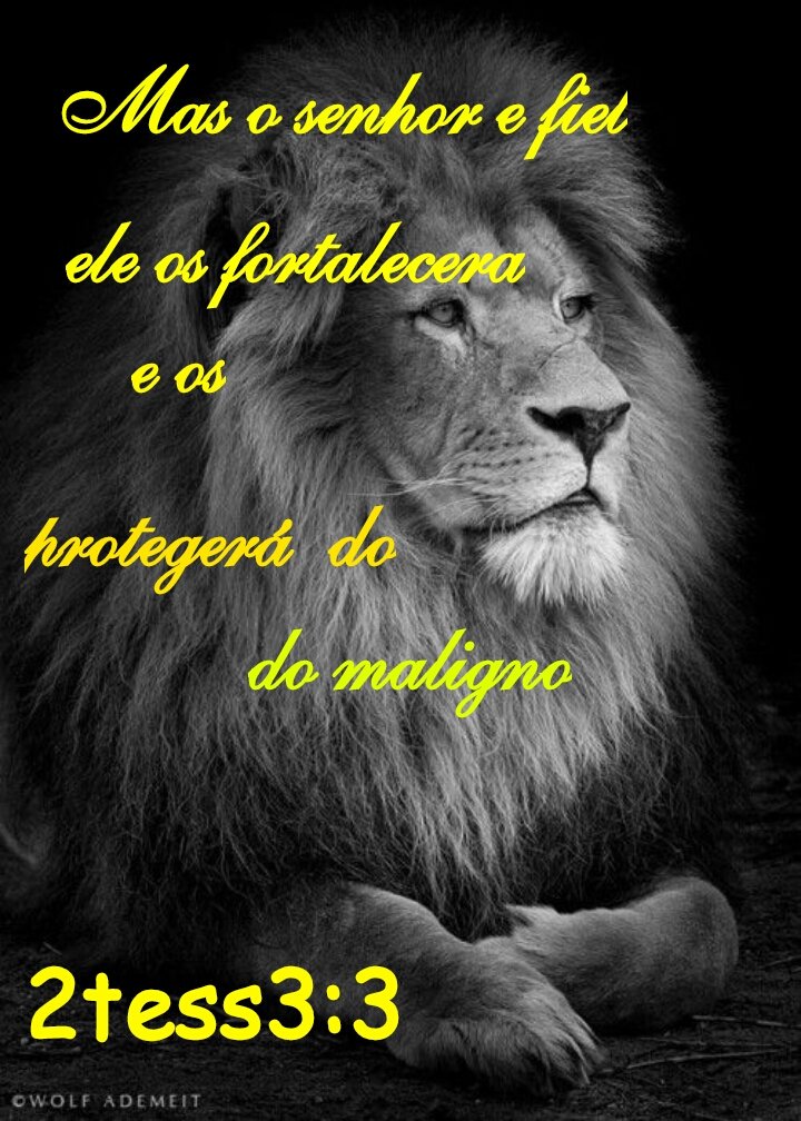 O senhor tem estabelecido o seu trono nos céus,  e o seu reino domina sobre tudo/sl 103:19