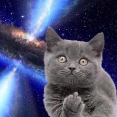 Fucking meow mutherfuckers