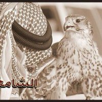 الــشــامــخ (@q8_shamekh) 's Twitter Profile