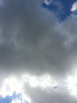 sammiedob's profile picture. 