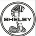 Shelby (@shelby1a1) Twitter profile photo