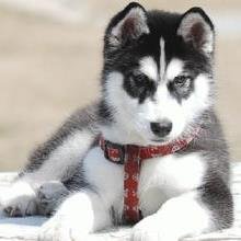 ebj135's profile picture. Elaine Jewelry Co., Ltd