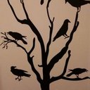 Sandi Atkinson - @nyccrowsgirl - Twitter