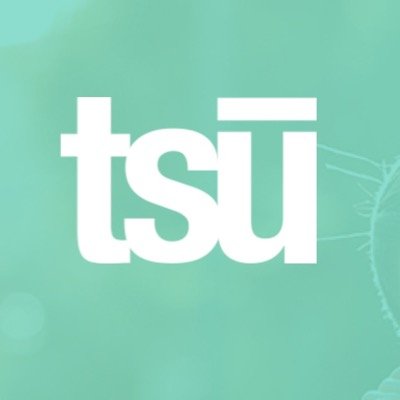 EVERYTHING YOU NEED TO KNOW ABOUT THE NEW #Tsu Social Media Network #EnterTsu #TsuSocialMedia #UnlockTsu #TsuNation #GoViral #GetPaid