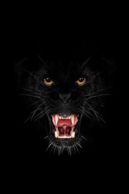 OronzoPalma's profile picture. sono un uomo ...