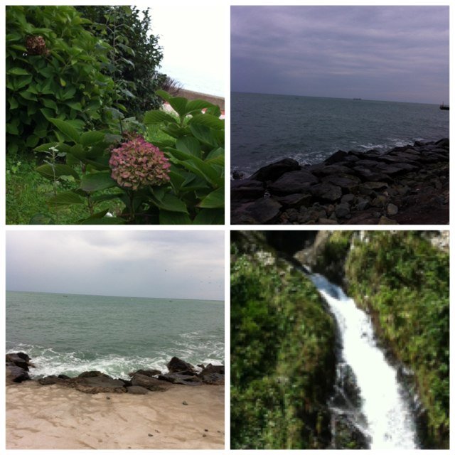 norh5069's profile picture. 