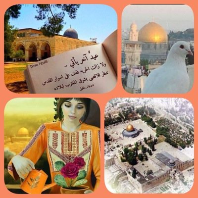 ‏الحلم الوردي الذي نسجته ترانيم الأمل بالله سوف يتحقق يوماً