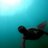 Profile Picture of Juan Carlos Expósito (@juanexpfreedive) on Twitter