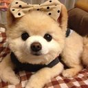 Kevin Leo Dion - @nandarck25 - Twitter