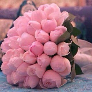 ♥♥♥